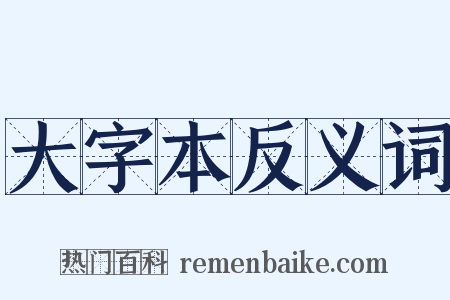 大字本反义词是什么意思的图片